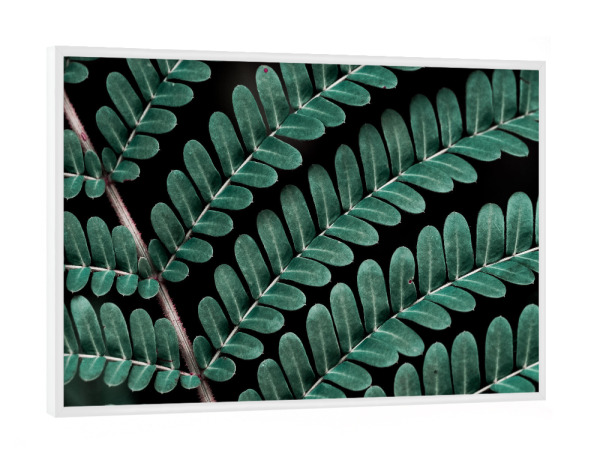 Poster mit weißem Rahmen "Little Ones" artboxONE - Natur,Floral