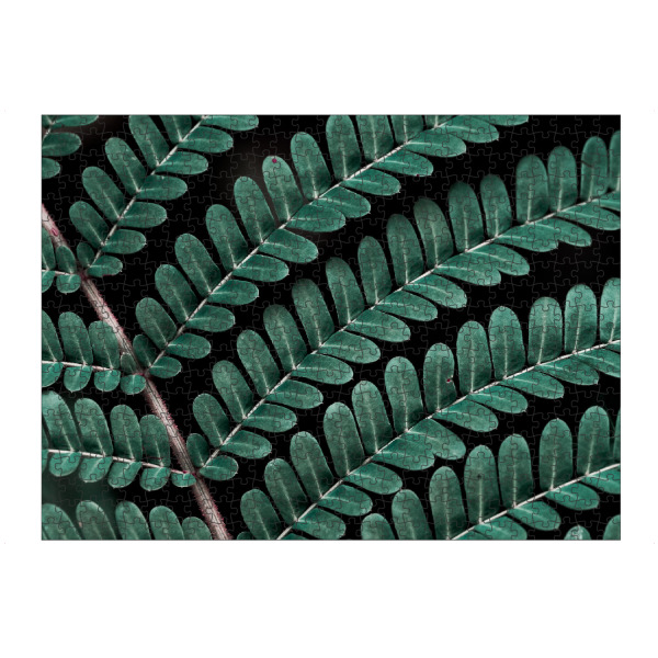 artboxONE Puzzle "Little Ones" artboxONE - Natur,Floral - Nature,Photography,Leaf,Leaves,Foliage,Garden,Botanical,Natur,Blätter,Closeup,Nahaufnahme