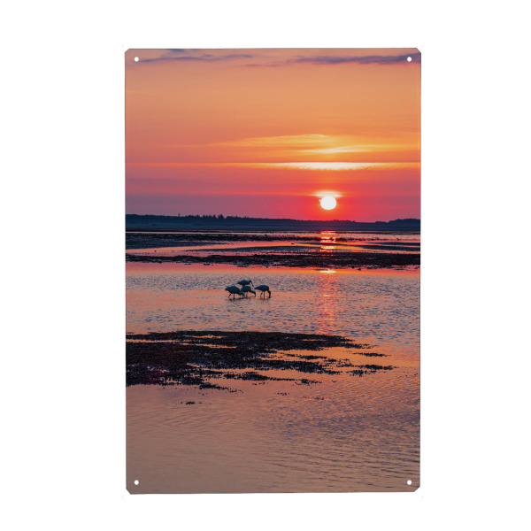 Holzbild "Sonnenaufgang mit Löffler" artboxONE - Natur,Reise,Reise / Strand und Meer
