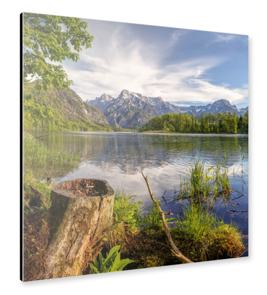 Alu-Dibond "Sonniger Almsee" 30x30 cm artboxONE