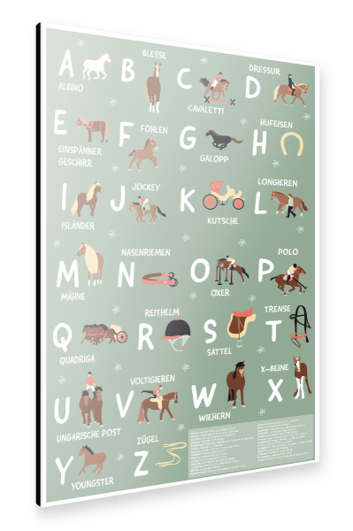 Alu-Dibond "Pferde ABC für Pferdeliebhaber" 30x20 cm artboxONE
