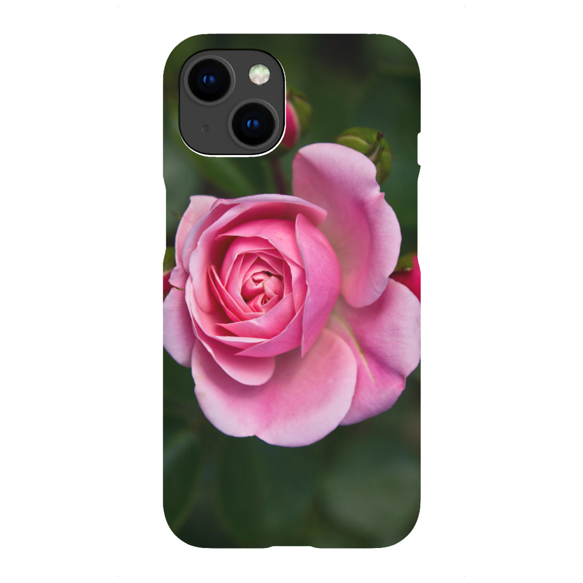 "Rosa Rose mit Knospen"für iPhone - Premium-Case Handyhülle artboxONE