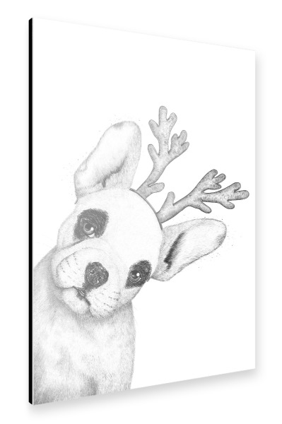 Alu-Dibond "Christmas French Bulldog" 30x20 cm artboxONE