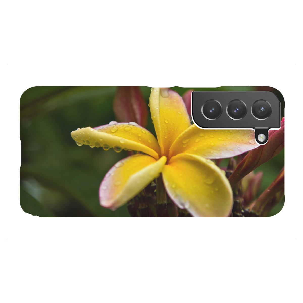 Samsung Galaxy "Frangipani Blüte" Premium-Case Handyhülle artboxONE