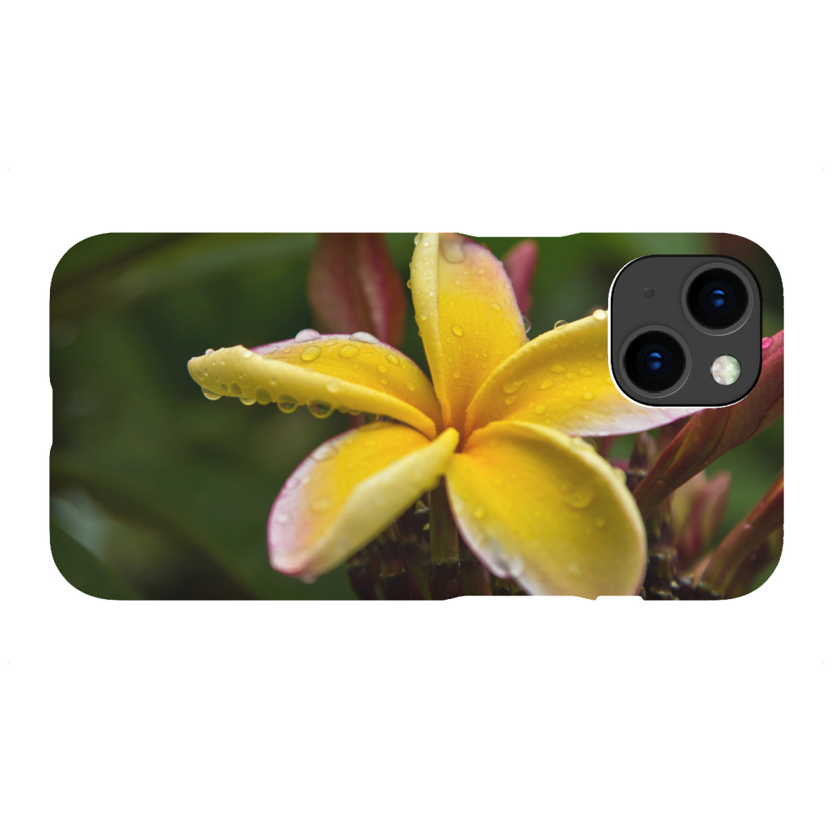 "Frangipani Blüte"für iPhone - Premium-Case Handyhülle artboxONE