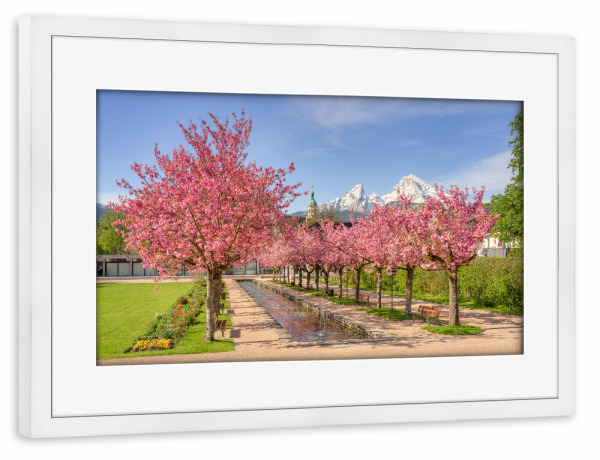 Poster mit Rahmen weiß "Kirschblüte in Berchtesgaden" artboxONE - Städte,Natur,Reise