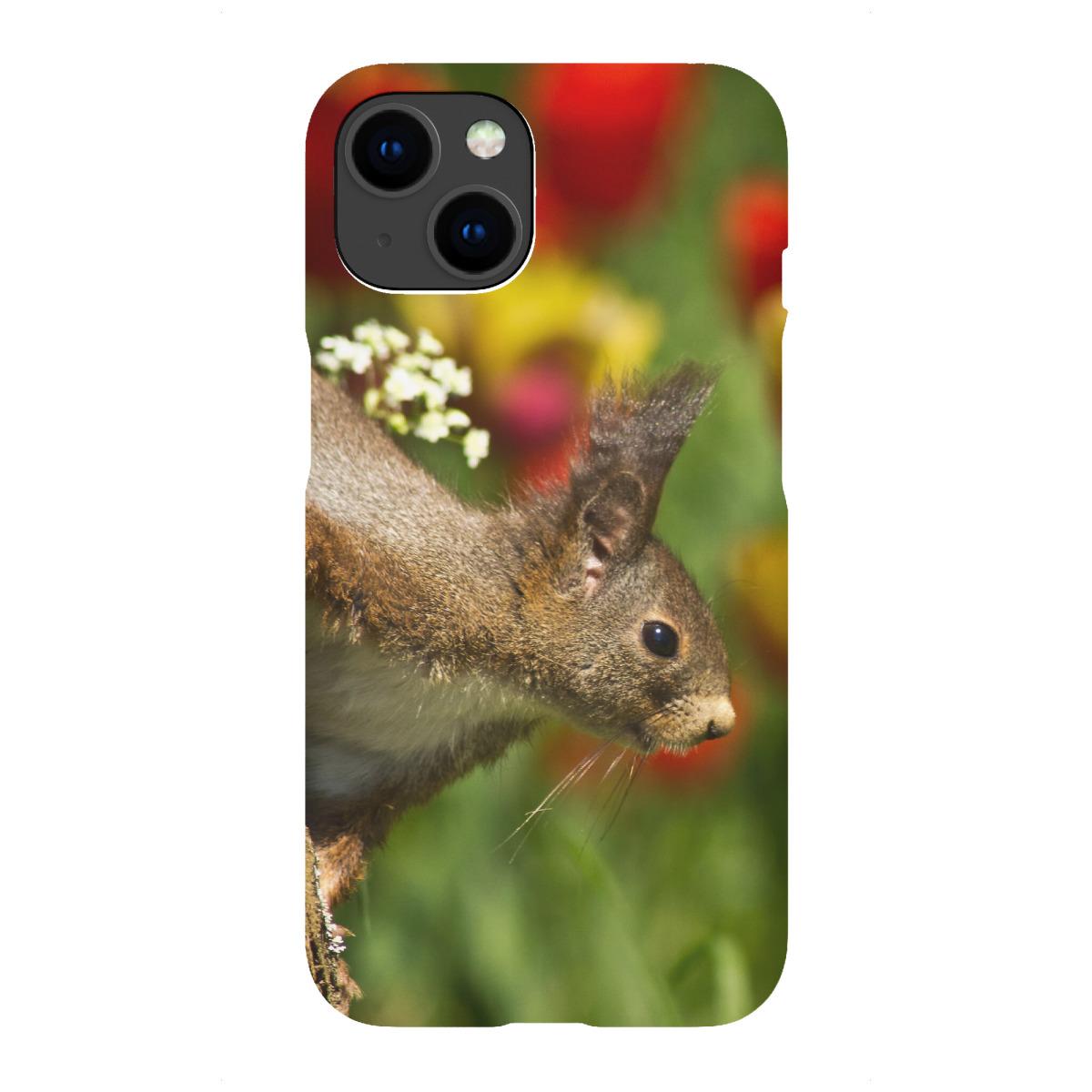 "Eichhörnchen"für iPhone - Premium-Case Handyhülle artboxONE