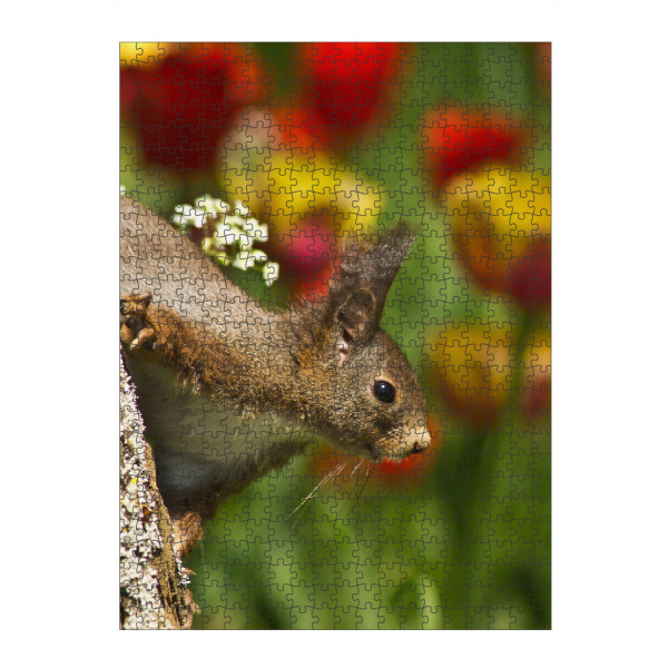 artboxONE Puzzle "Eichhörnchen" artboxONE - Natur,Tiere