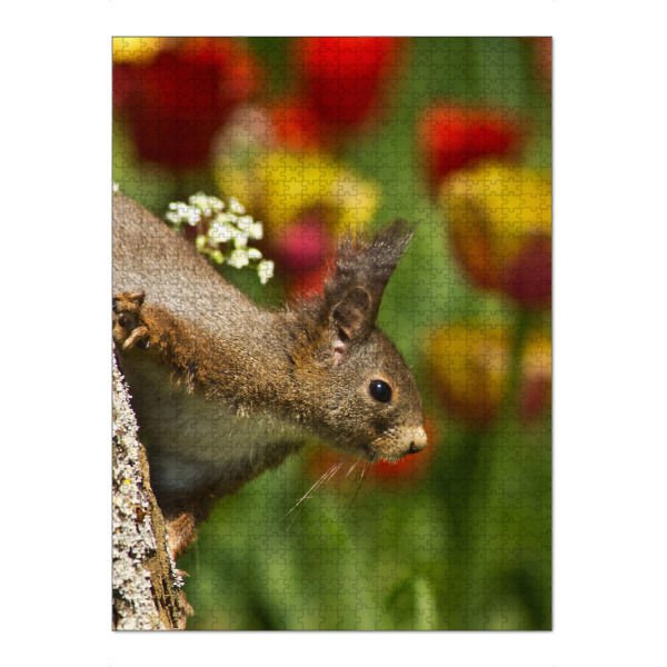 Puzzle Ravensburger "Eichhörnchen" artboxONE - Natur,Tiere