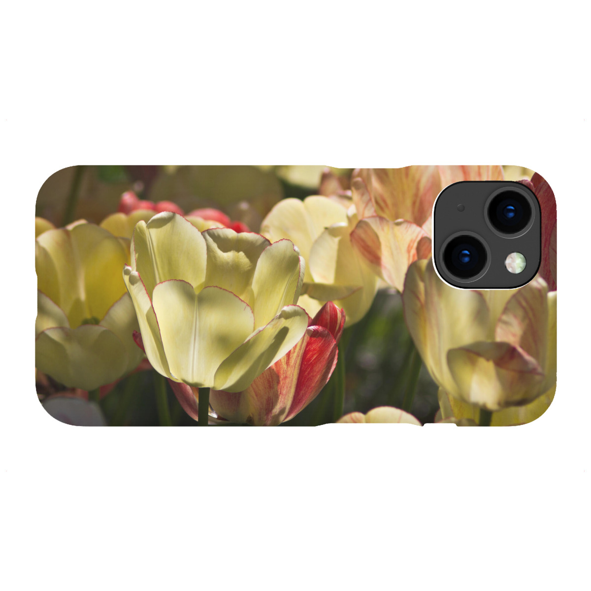 "Leuchtende Tulpen in der Sonne"für iPhone - Premium-Case Handyhülle artboxONE