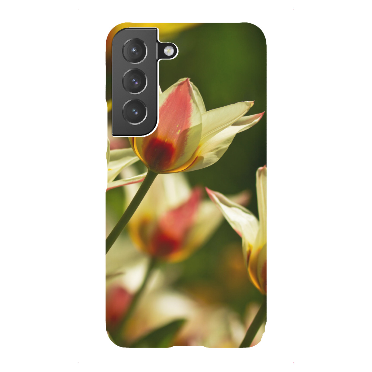 "Bunte Tulpen"für Samsung Galaxy - Premium-Case Handyhülle artboxONE