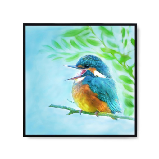 Cute kingfisher
