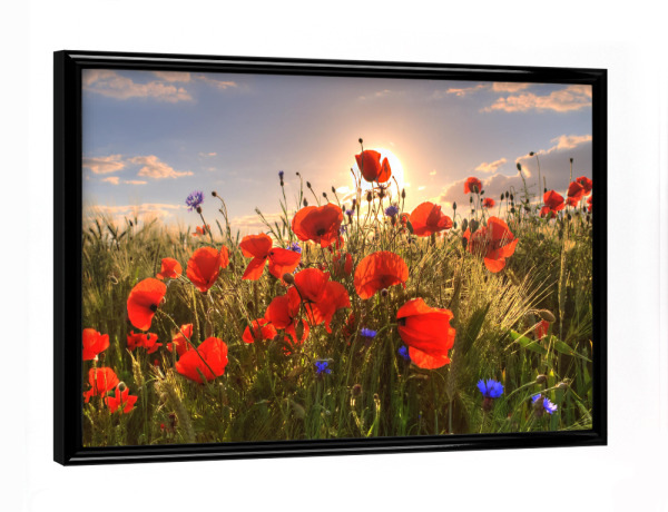 Poster mit schwarzem Rahmen "Mohnblumen am Abend" artboxONE - Natur,Floral