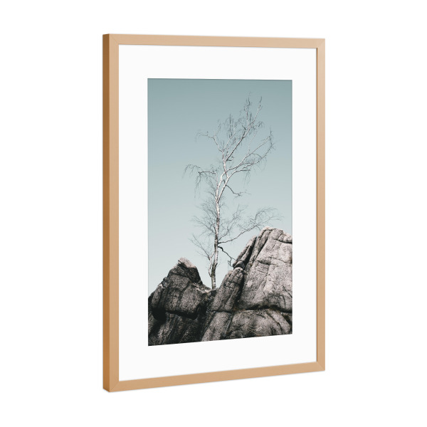 Poster mit Rahmen Kupfer "Ein Baum in Fine Art" artboxONE - Natur,Reise,Reise / Länder