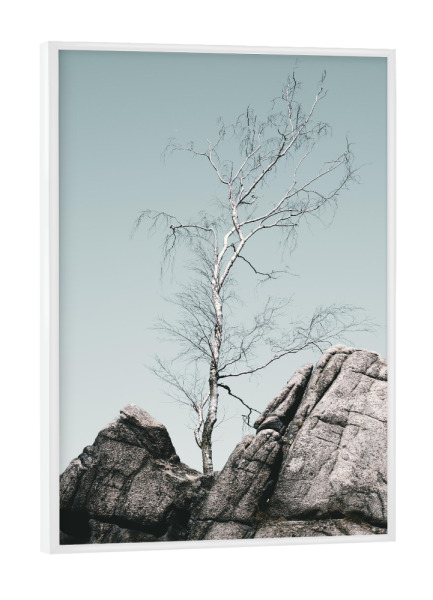 Poster mit weißem Rahmen "Ein Baum in Fine Art" artboxONE - Natur,Reise,Reise / Länder