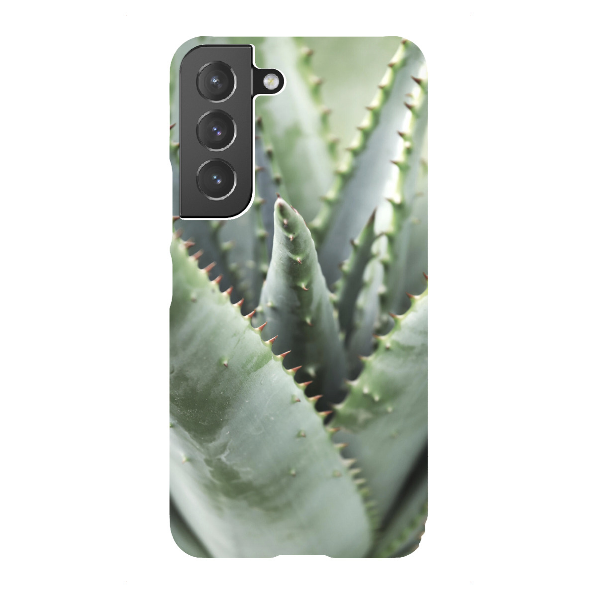 "Aloe Vera helle Pastelltöne"für Samsung Galaxy - Premium-Case Handyhülle artboxONE