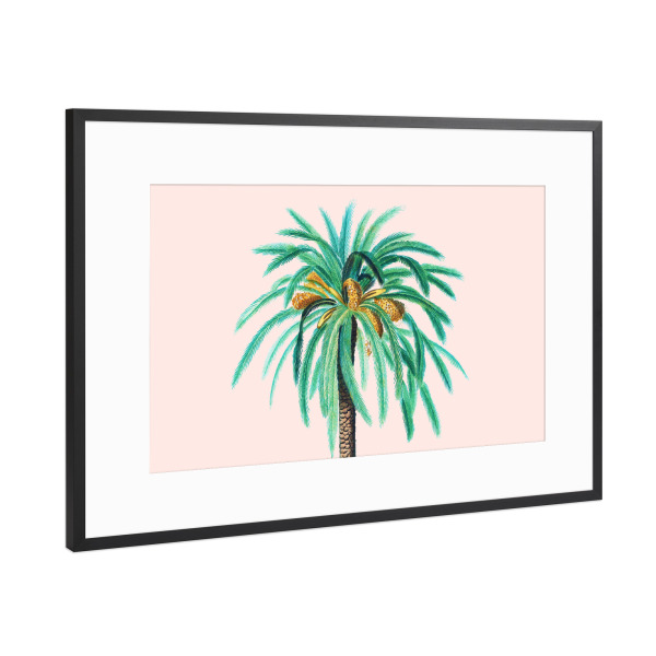 Poster mit Rahmen Schwarz (Metallic) "Coconut Island" artboxONE - Natur,Floral