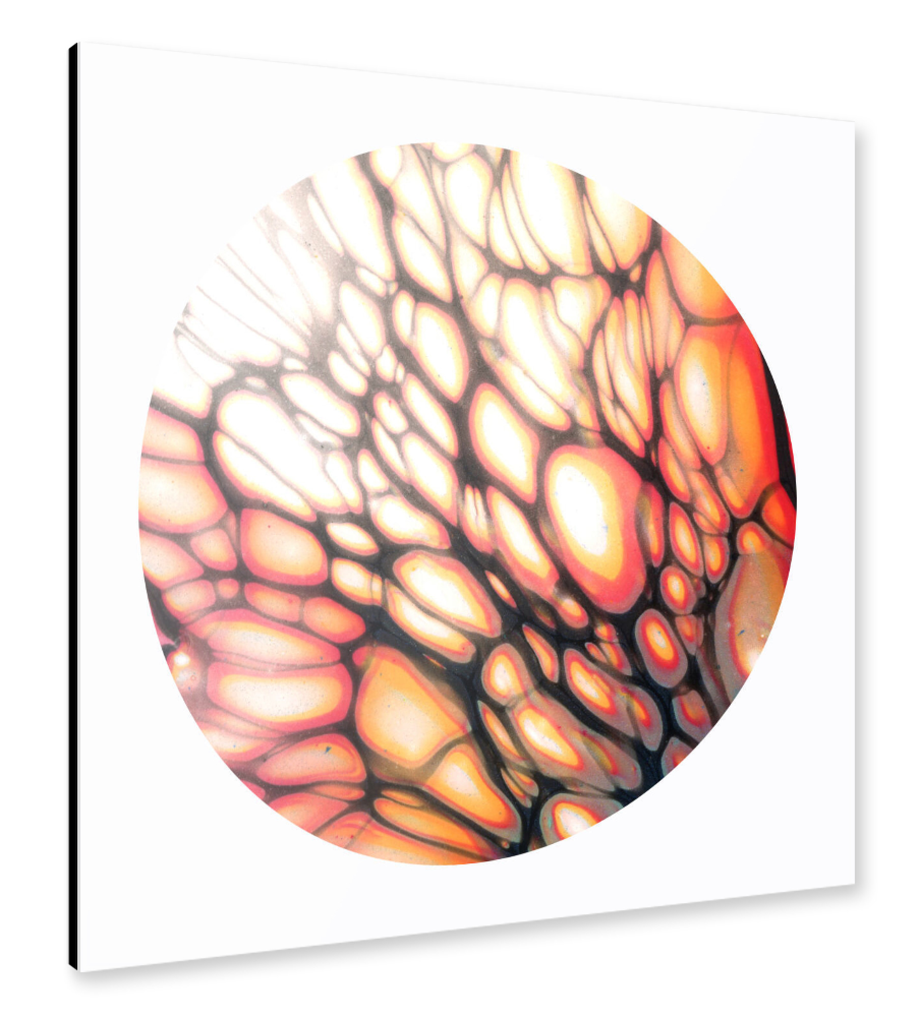 Alu-Dibond "White Cells - the wing" 30x30 cm artboxONE