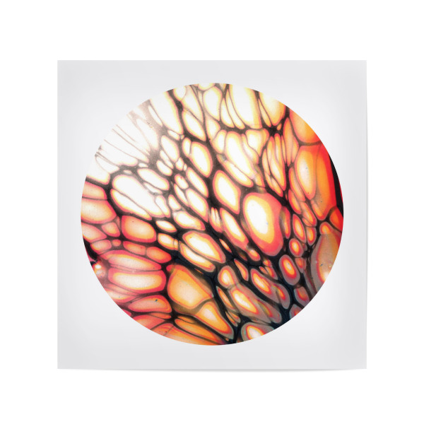 Poster 20x20 cm "White Cells - the wing" artboxONE - Abstrakt