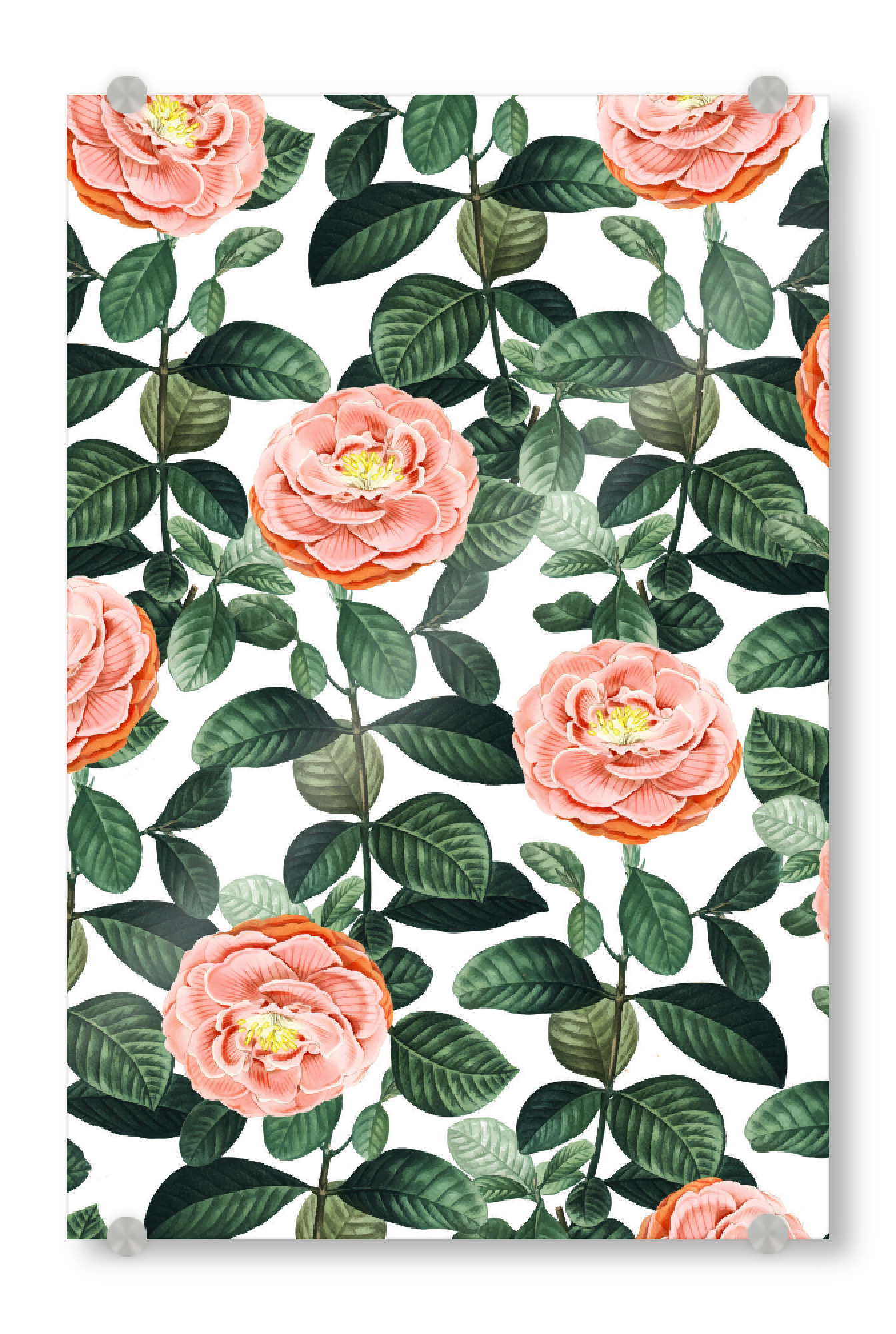 Acrylglasbild "Josefine | Vintage Rosengarten" artboxONE - Natur,Floral