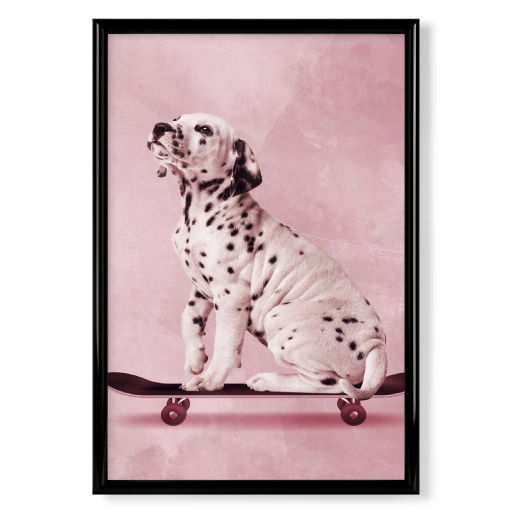 Skater Dalmatian