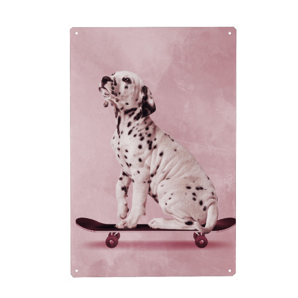 Metall Poster "Skater Dalmatian" artboxONE - Natur,Tiere,Sport