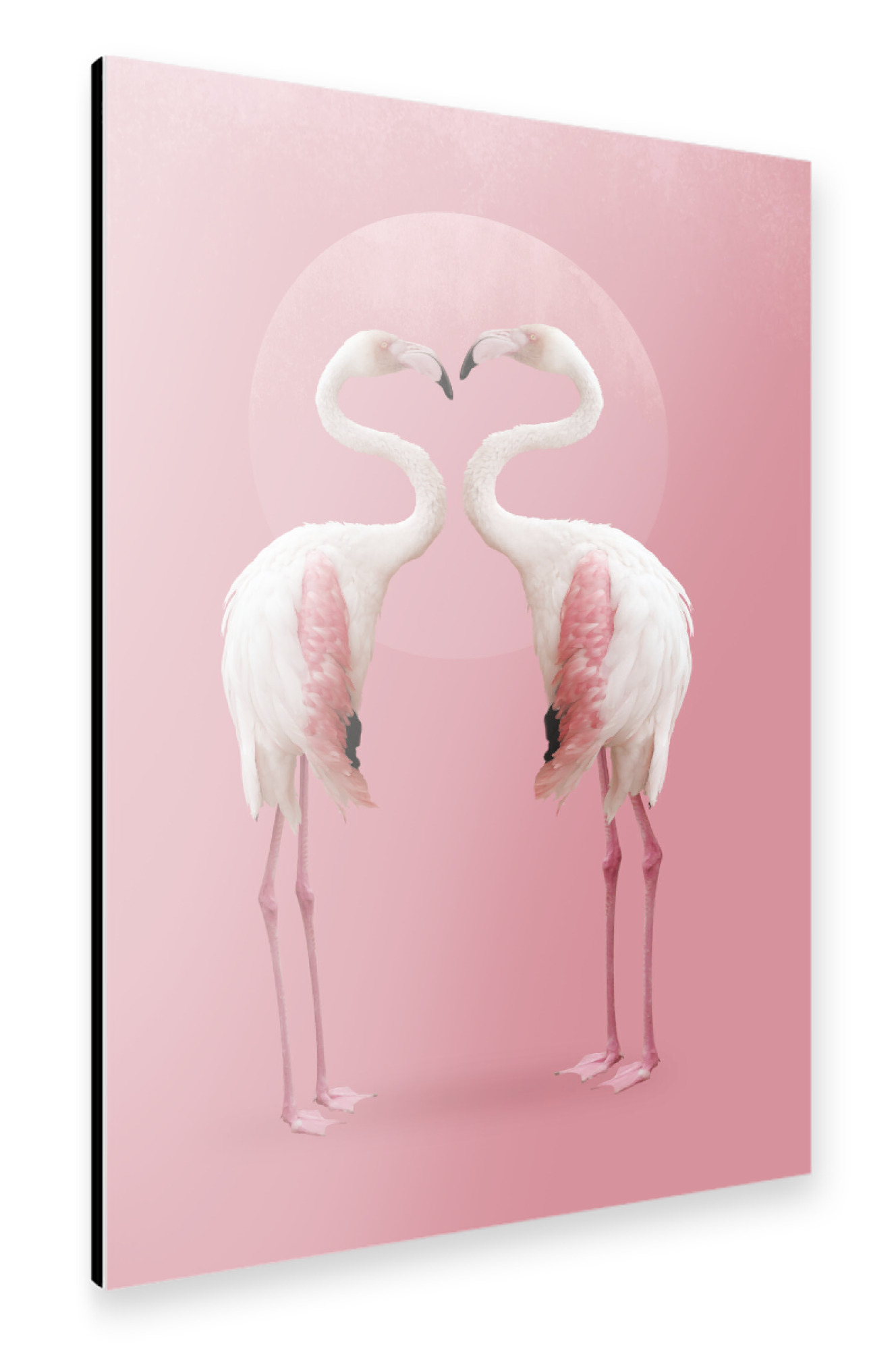 Alu-Dibond "Rosa Flamingos" 30x20 cm artboxONE