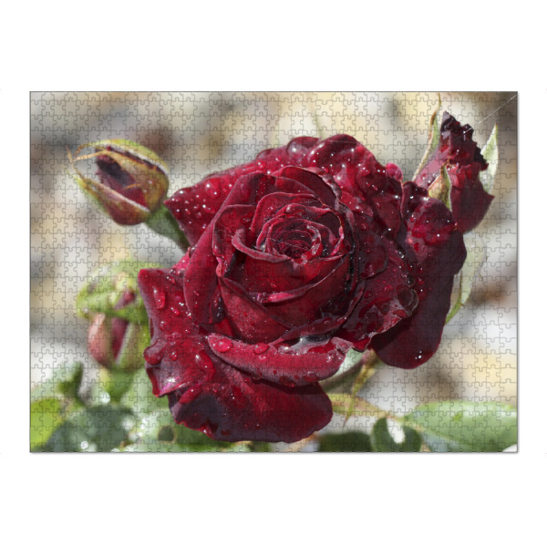 Puzzle Ravensburger "Tröpfchenrose" artboxONE - Floral,Liebe