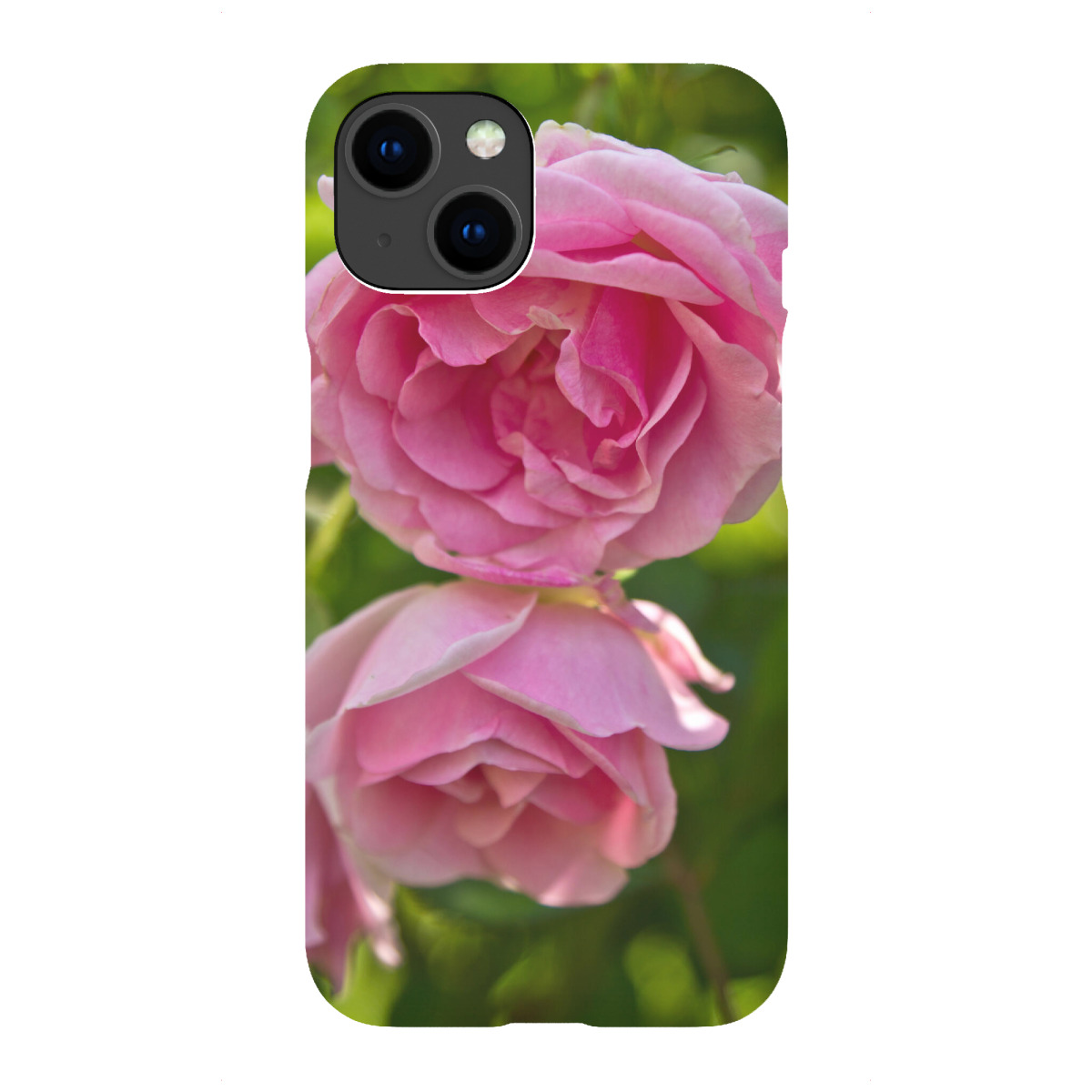 iPhone "Englische rosa Rosen" Premium-Case Handyhülle artboxONE
