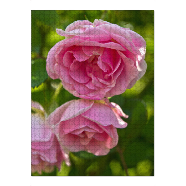 Puzzle Ravensburger "Englische rosa Rosen" artboxONE - Natur,Floral