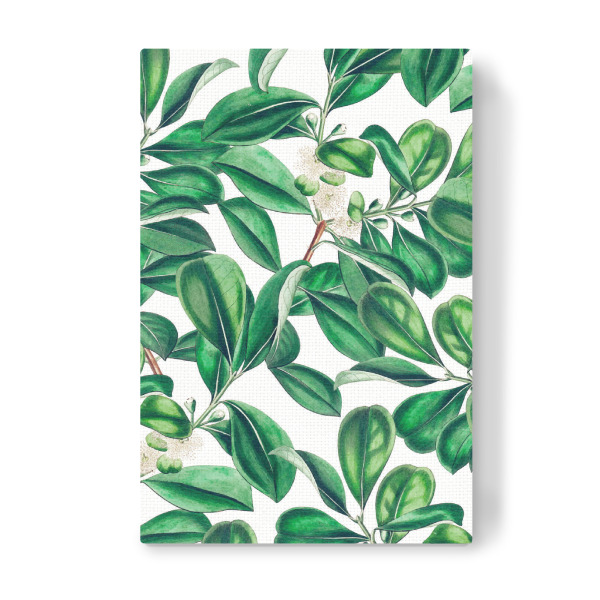 Leinwandbild "Botanica" artboxONE - Natur,Floral