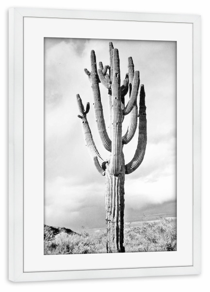 Poster mit Rahmen weiß "Loner" artboxONE - Natur,Schwarzweiß