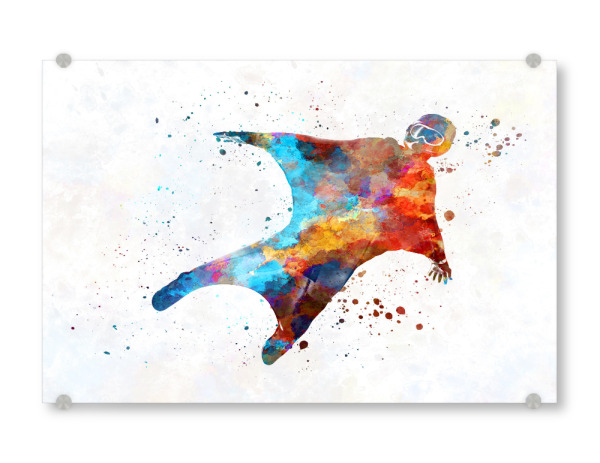 Acrylglasbild "Wingsuit wings in watercolor-b" artboxONE - Sport