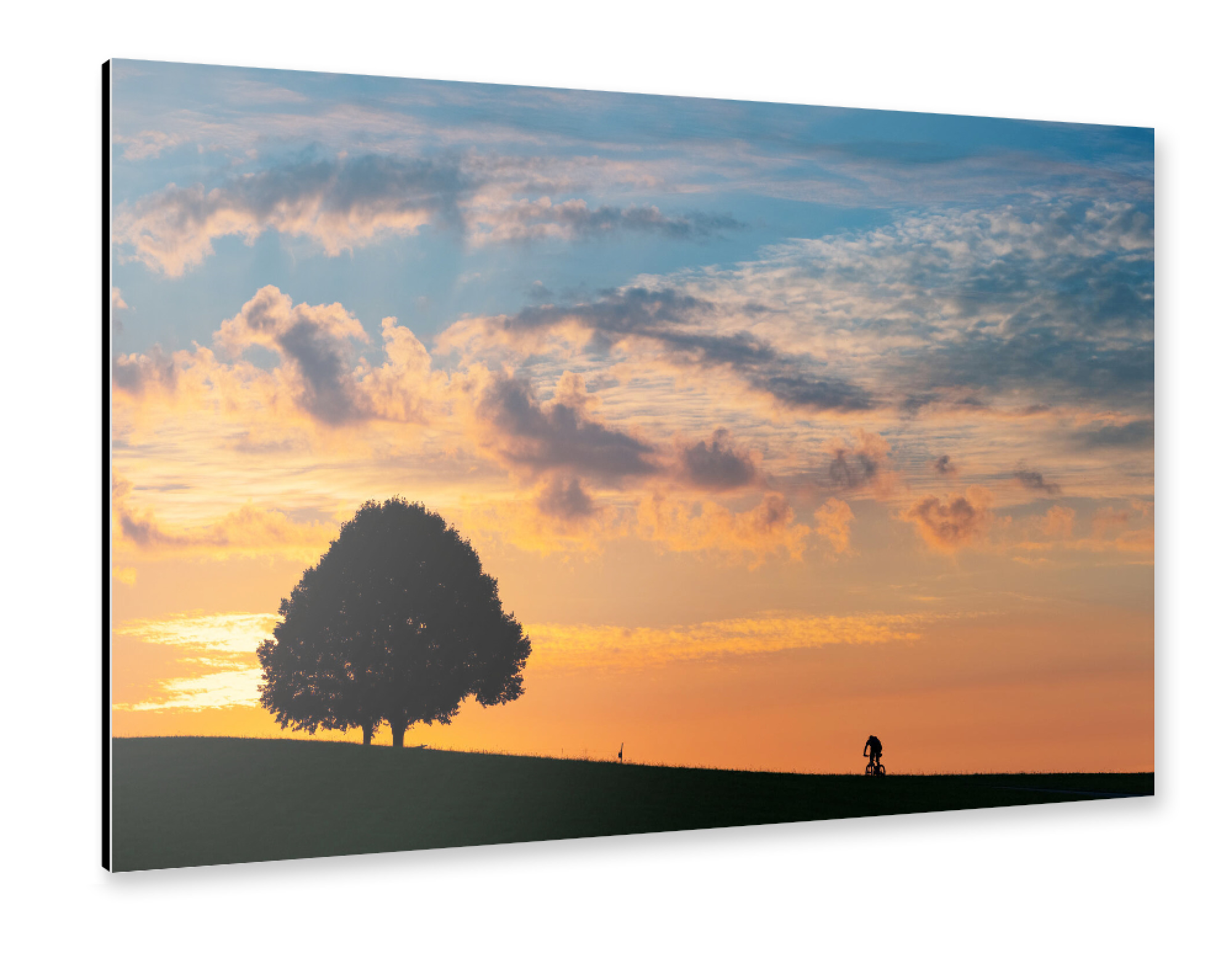 Alu-Dibond "Einsamer Radfahrer" 30x20 cm artboxONE