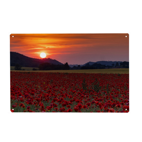 Holzbild "Sonnenuntergang über Mohnfeld" artboxONE - Natur,Floral