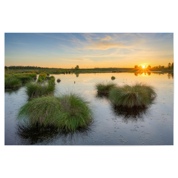 Poster 30x20 cm "Sonnenuntergang im Hohen Venn" artboxONE - Natur,Reise,Reise / Länder