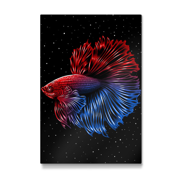 Galerie-Print "Galactic Betta" 30x20 cm artboxONE