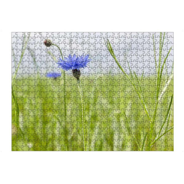Puzzle Ravensburger "Kornblumen auf dem Acker" artboxONE - Natur,Floral