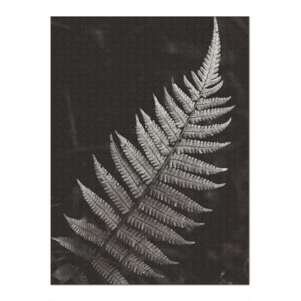 Puzzle Ravensburger "BW FERN" artboxONE - Natur - Nature,Plant,Leaf,Foliage,Leaves,Black and white,Garden,Schwarzweiß,Blatt,Natur,Botanical,Botanisch