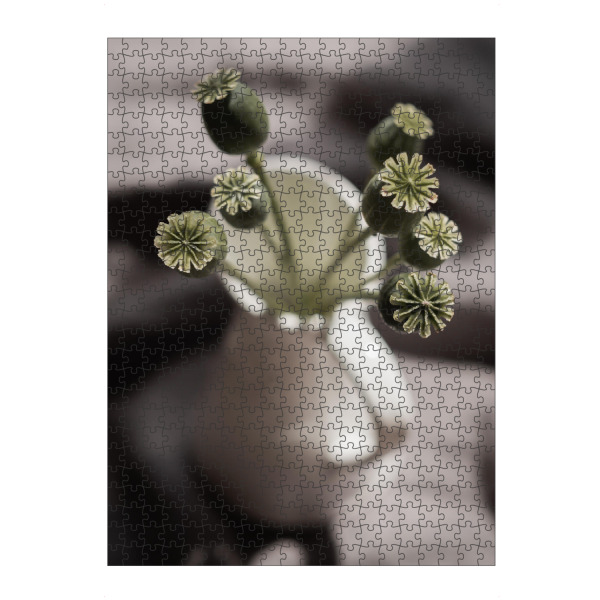 Puzzle Ravensburger "Green Poppies" artboxONE - Floral - Mohn,Grün,Green,Blüten,Flower,Floral,Weiß,White,Light,Licht,Schatten,Ruhe,Soft,Frisch,Home