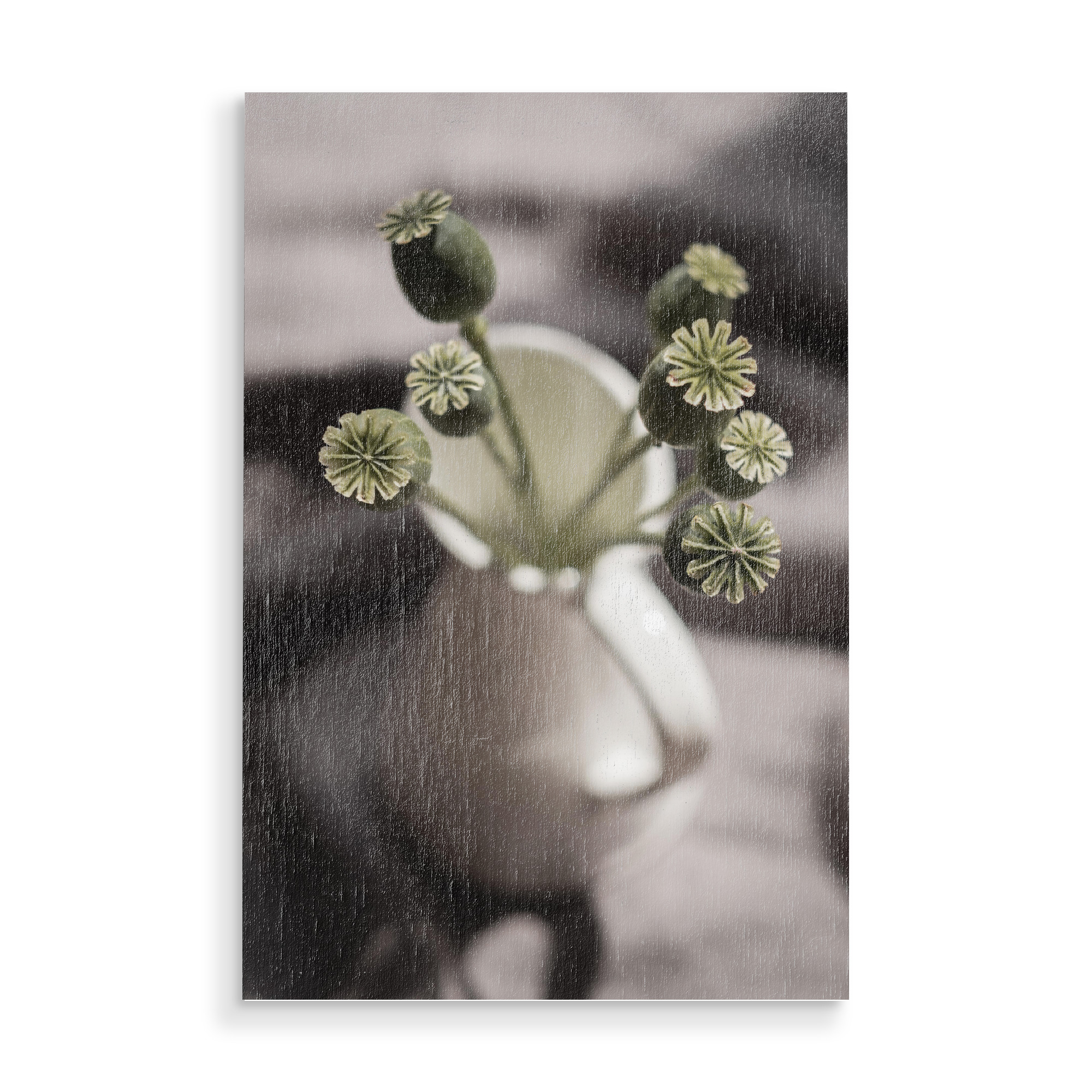 Holzbild "Green Poppies" artboxONE - Floral - Mohn,Grün,Green,Blüten,Flower,Floral,Weiß,White,Light,Licht,Schatten,Ruhe,Soft,Frisch,Home