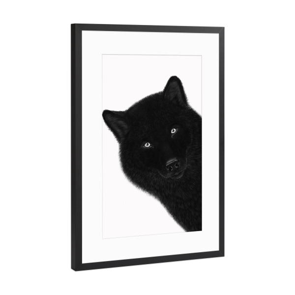 Poster mit Rahmen Schwarz (Metallic) "Black wolf" artboxONE - Natur,Tiere,Lustig