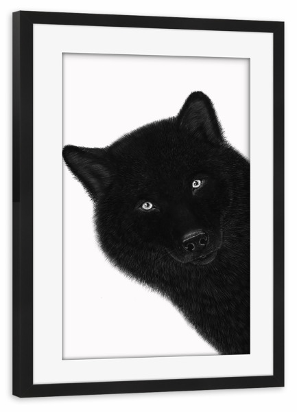 Poster mit Rahmen schwarz "Black wolf" artboxONE - Natur,Tiere,Lustig