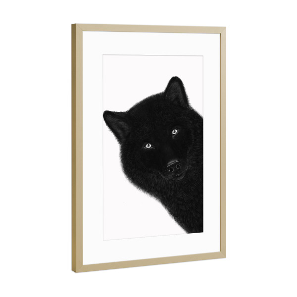 Poster mit Rahmen Gold "Black wolf" artboxONE - Natur,Tiere,Lustig