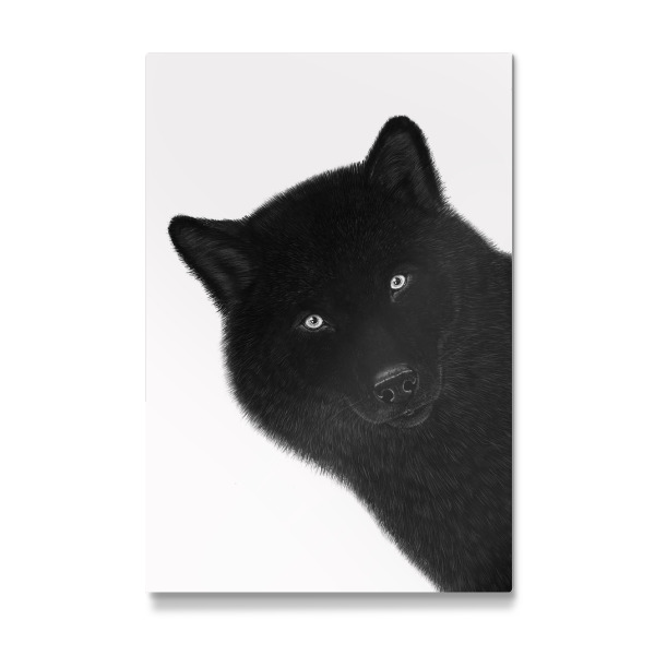 Galerie-Print "Black wolf" 30x20 cm artboxONE