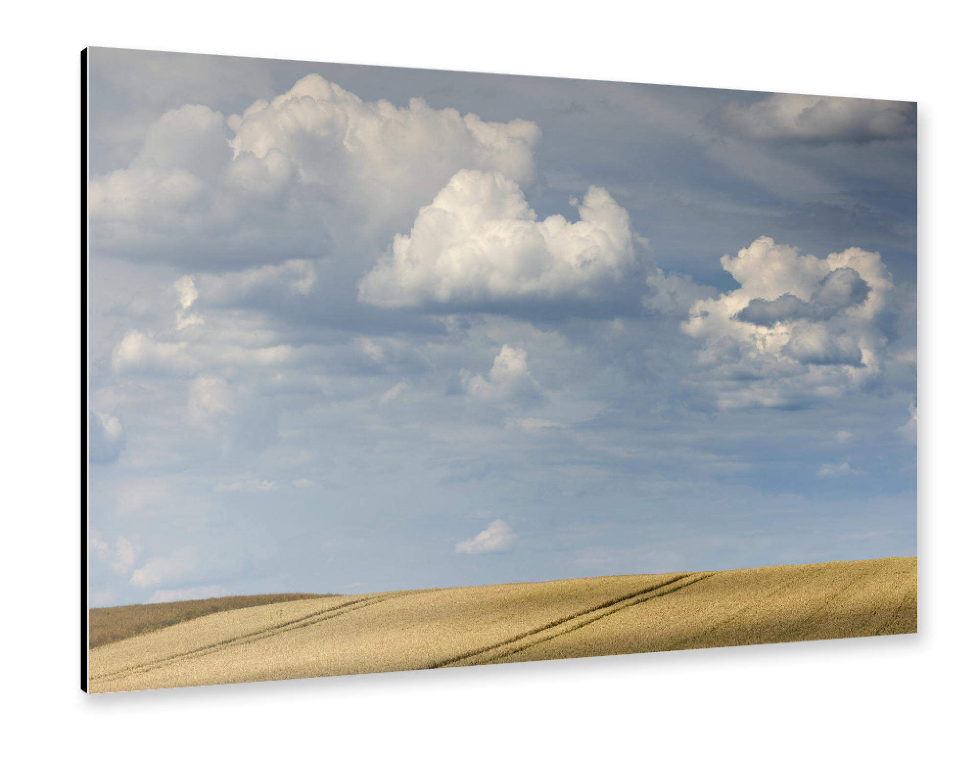 Alu-Dibond "Wolken über Kornfeld" 75x50 cm artboxONE