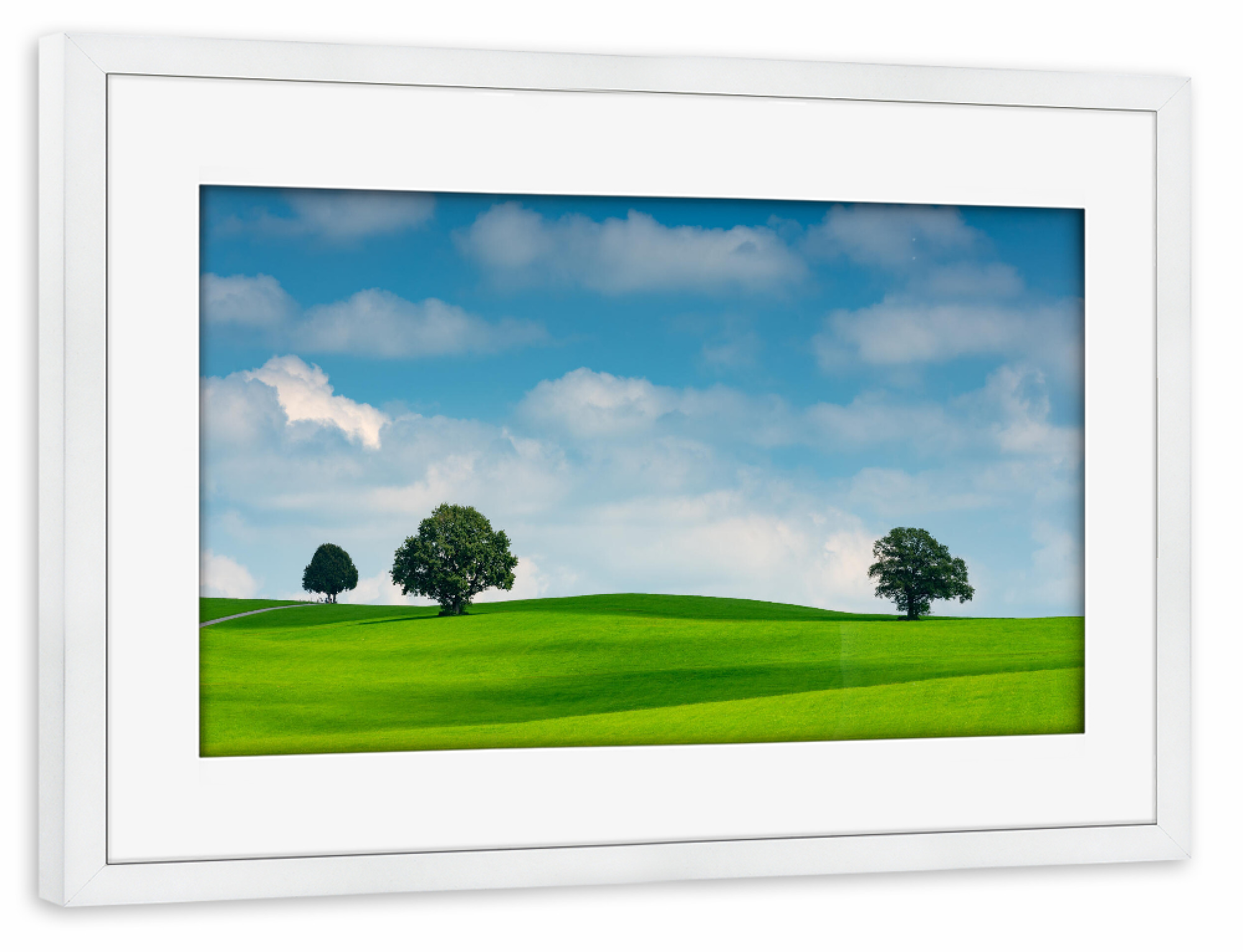 Poster mit Rahmen weiß "Drei Bäume" artboxONE - Natur - Clouds,Wiese,Gras,Bäume,Trees,Natur,Nature,Field,Feld,Wolken,Sky,Himmel