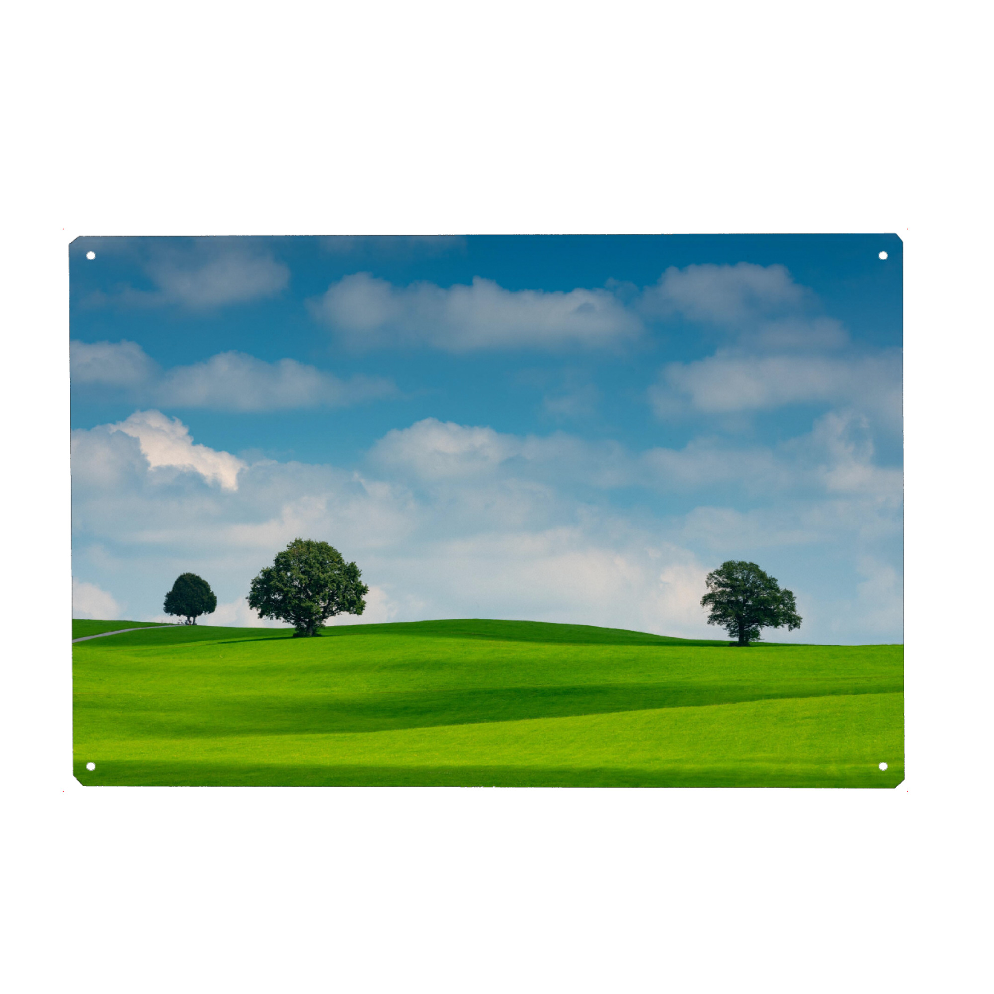Metall Poster "Drei Bäume" artboxONE - Natur - Clouds,Wiese,Gras,Bäume,Trees,Natur,Nature,Field,Feld,Wolken,Sky,Himmel - Blechschild