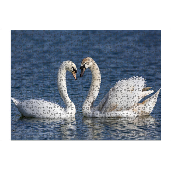 Puzzle Ravensburger "Schwäne in Love" artboxONE - Natur,Tiere