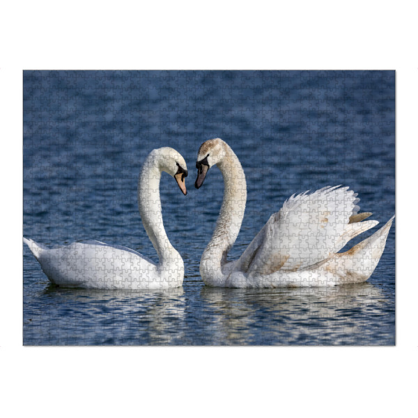 Puzzle Ravensburger "Schwäne in Love" artboxONE - Natur,Tiere